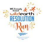 NYE Resolution Run