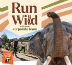 Run Wild