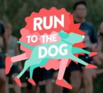 Run To The Dog
